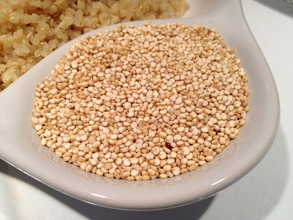 Gros de quinoa