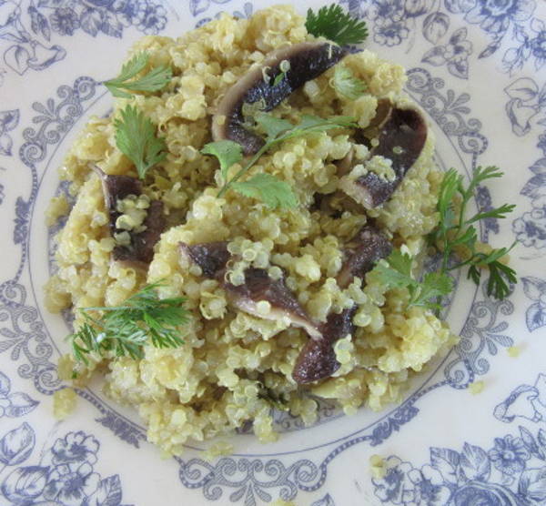 Prato de risoto de quinoa e cogumelos shiitake