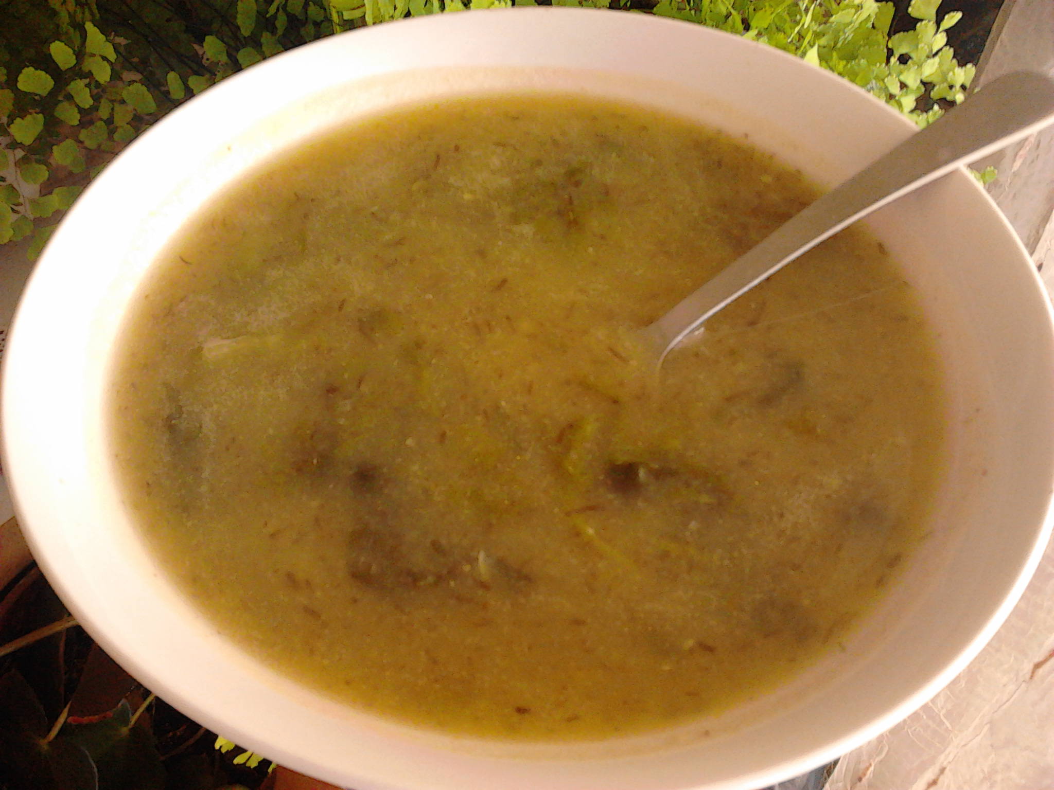 Prato com Sopa de alfaze com teff e miso