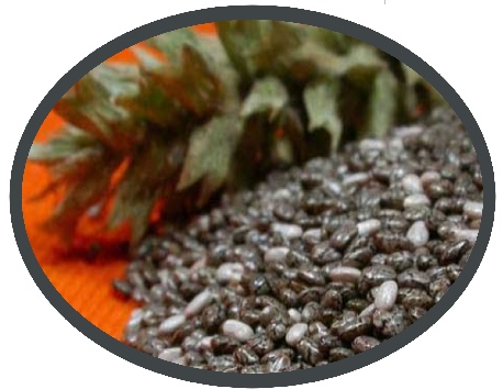 sementes de chia